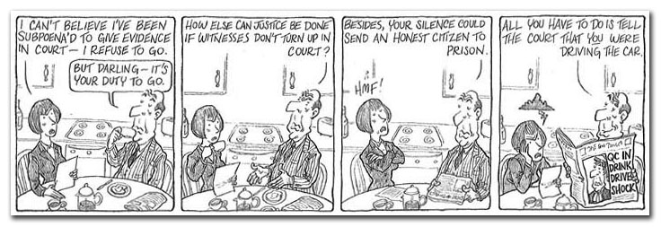 King's Counsel cartoon — 1996-07-09