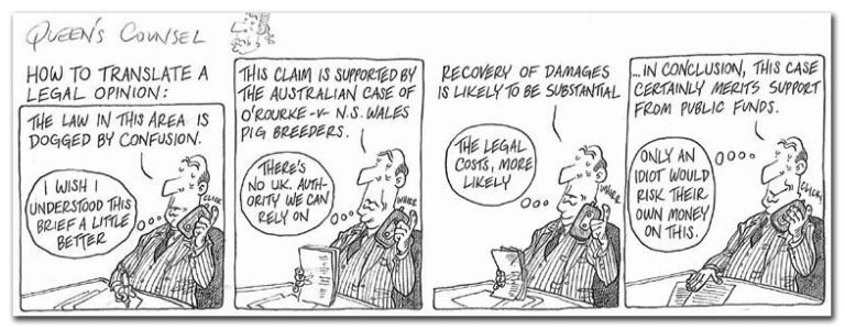King's Counsel cartoon — 1996-11-19
