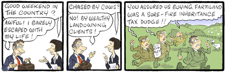 King's Counsel cartoon — 2024-11-07